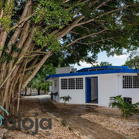Villa Xtohil With Private Access To The Magic 7 Colors Lagoon Bacalar Εξωτερικό φωτογραφία