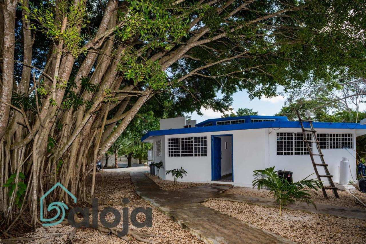 Villa Xtohil With Private Access To The Magic 7 Colors Lagoon Bacalar Εξωτερικό φωτογραφία
