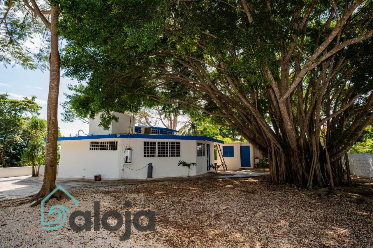 Villa Xtohil With Private Access To The Magic 7 Colors Lagoon Bacalar Εξωτερικό φωτογραφία